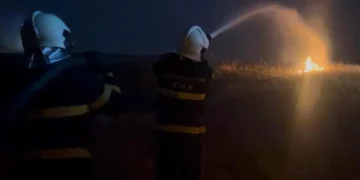 Qazaxda açıq ərazidə yanğın baş verib