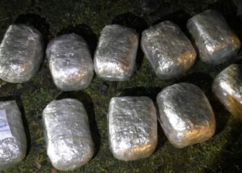 Polis 114 kiloqramdan çox narkotik vasitə aşkarladı