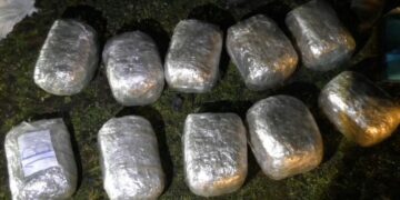 Suraxanıda 14 kiloqrama yaxın narkotik vasitə aşkarlanıb