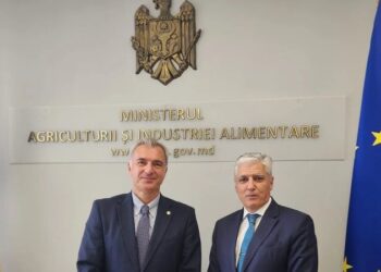 Azərbaycan ilə Moldova arasında əməkdaşlıq müzakirə edildi