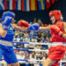 Azərbaycanın boks yığması komanda hesabında Avropa üçüncüsü olub
