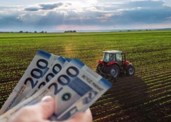 Aqrar subsidiyaların hüquqi statusu qanunla müəyyənləşdirilir