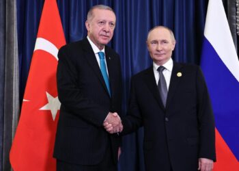 Ərdoğan və Putin Qara dənizdə təhlükəsizliyi və Ukrayna münaqişəsini müzakirə ediblər