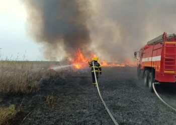 Cəlilabadda ovçuluq təsərrüfatında güclü yanğın başladı