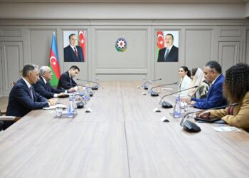 Baş nazir Rəqəmsal Əməkdaşlıq Təşkilatının Baş katibi ilə görüşüb
