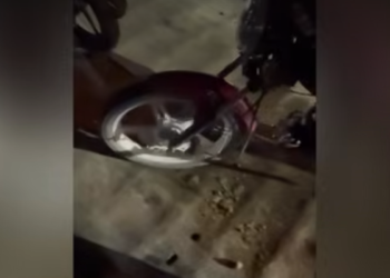 Abşeronda motoxuliqanlıqla bağlı 23 nəfər saxlanılıb – VİDEO