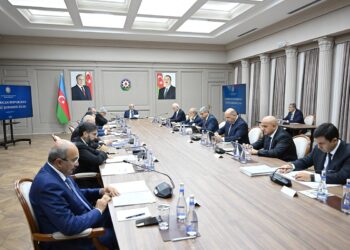 İqtisadi Şurada neft-qaz sənayesinin inkişaf perspektivləri müzakirə olunub