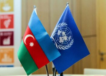 BMT nümayəndəsi: İtkinlərlə bağlı davamlı səylərin göstərilməsi vacibdir
