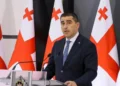 Papuaşvili: Gizli xarici maliyyələşdirmə demokratiya və dövlət suverenliyi üçün ciddi risklər yaradır