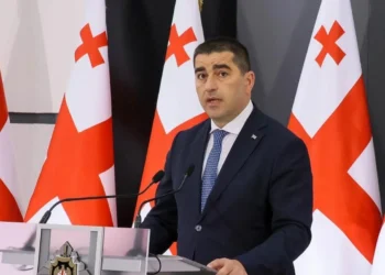 Papuaşvili: Gizli xarici maliyyələşdirmə demokratiya və dövlət suverenliyi üçün ciddi risklər yaradır