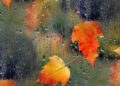 Ölkə ərazisində yağıntılı hava şəraiti müşahidə olunur – FAKTİKİ HAVA