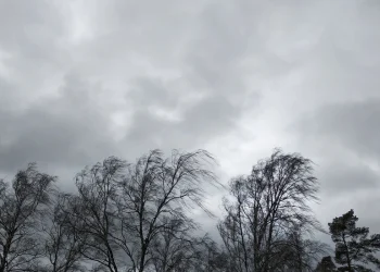 Sabah külək güclənəcək, çiskin olacaq