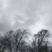 Sabah külək güclənəcək, çiskin olacaq