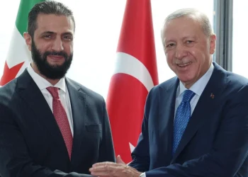 Türkiyə və Suriya prezidentlərinin görüşü olub