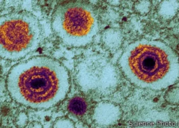 Alimlər yeni təhlükəli virus aşkarlayıblar