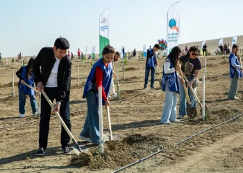 Anım Günü ilə əlaqədar ağacəkmə aksiyası keçirilib