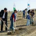 Anım Günü ilə əlaqədar ağacəkmə aksiyası keçirilib