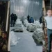 Qazaxıstan tarixində ən böyük kokain partiyası müsadirə edilib