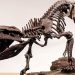 Dinozavrlarla qidalanan timsah tapıldı