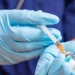 ÜST-dən Ebola ilə bağlı təhlükəli xəbərdarlıq