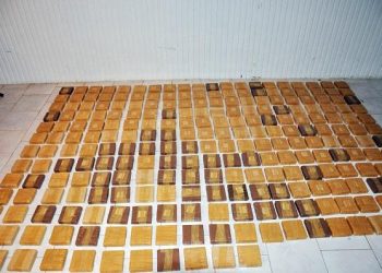 Azərbaycandan gələn maşından 50 milyon dollarlıq heroin çıxdı