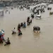 Pakistanda daşqınlar indiyədək 1002 nəfərin həyatına son qoyub