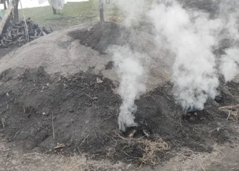 Oğuzda qanunsuz yolla ağac kömürü istehsal edən quyular aşkarlanıb